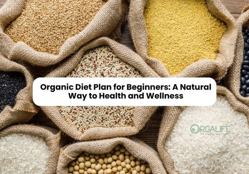 Organic Diet Plan for Beginners: A Natural Way to Health and Wellness