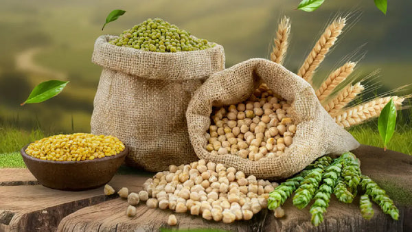 What is Organic Food