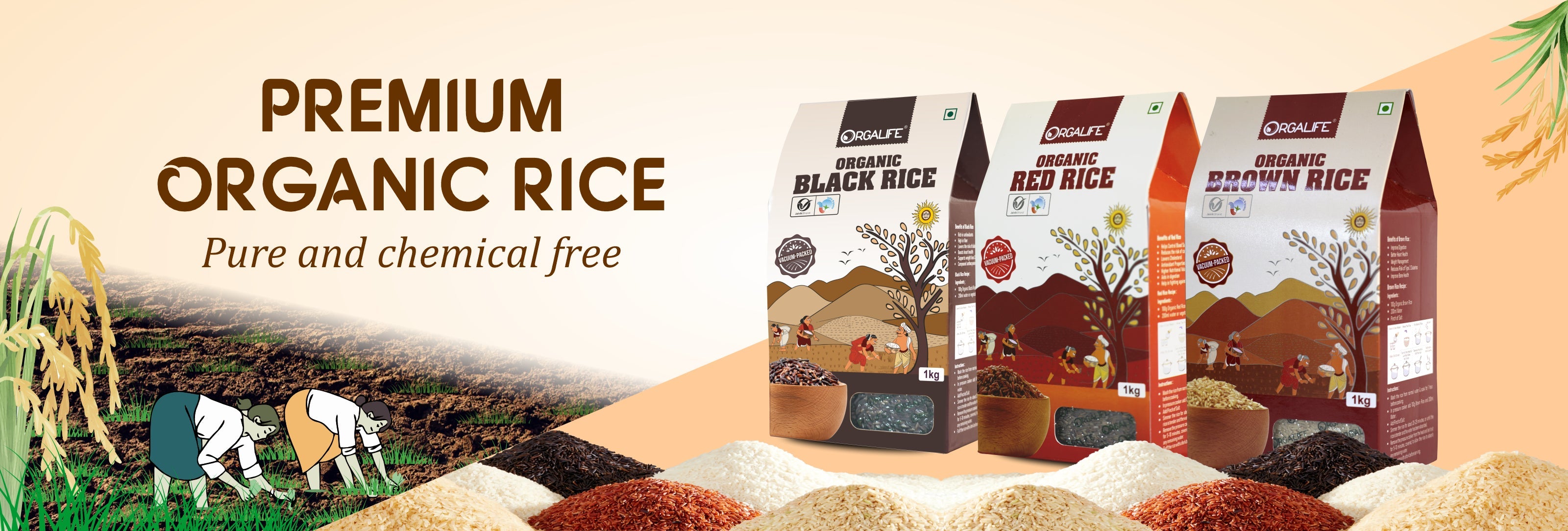 Rice
