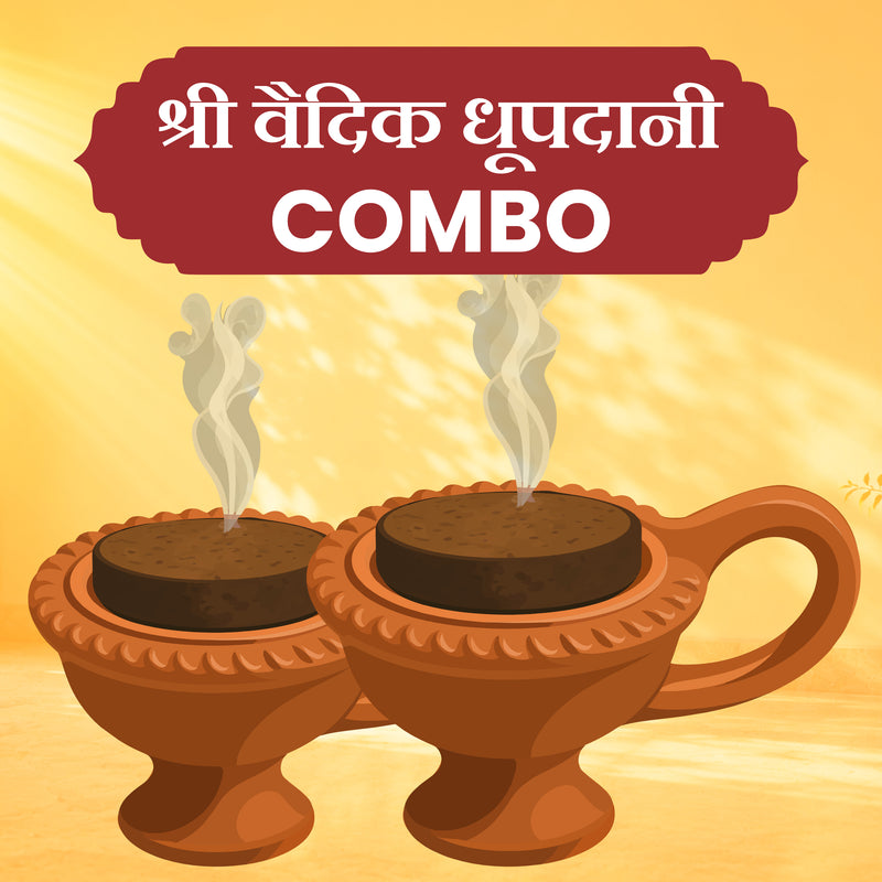 Shree Vedic Dhoopdani Combo