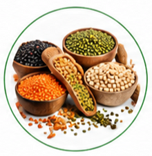 Pulses