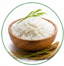 Rice