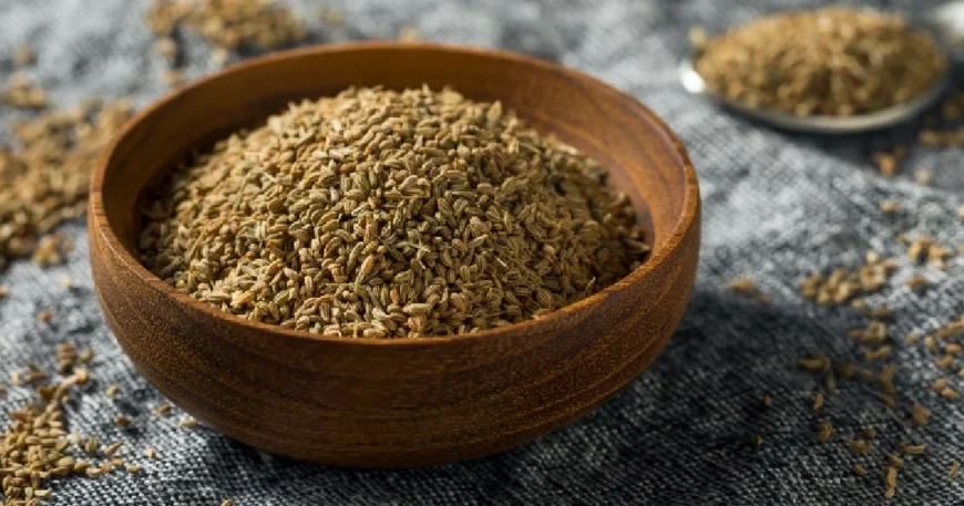 Experience The Best With ORGALIFE's Organic Ajwain