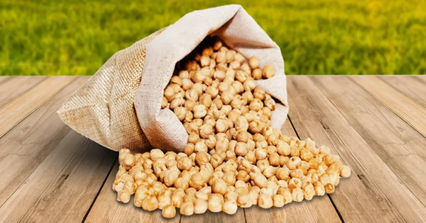 Experience The Purity And Nutrition Of ORGALIFE’s Organic Kabuli Chana